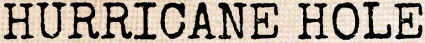 Hurricane Hole logo