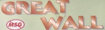 Great Wall logo