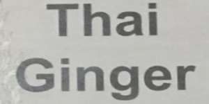 Thai Ginger logo